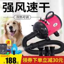 Pet hair dryer large medium and small dogs household dog and cat supplies dog special drying hair blowing artifact blower Blower