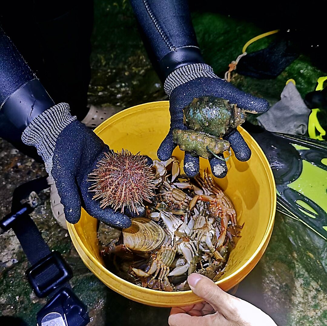 Level 5 anti-cut fishing and hunting gloves diving outdoor sea catching gloves Xia Dingqing rubber anti-scratch anti-stab wear-resistant thin section