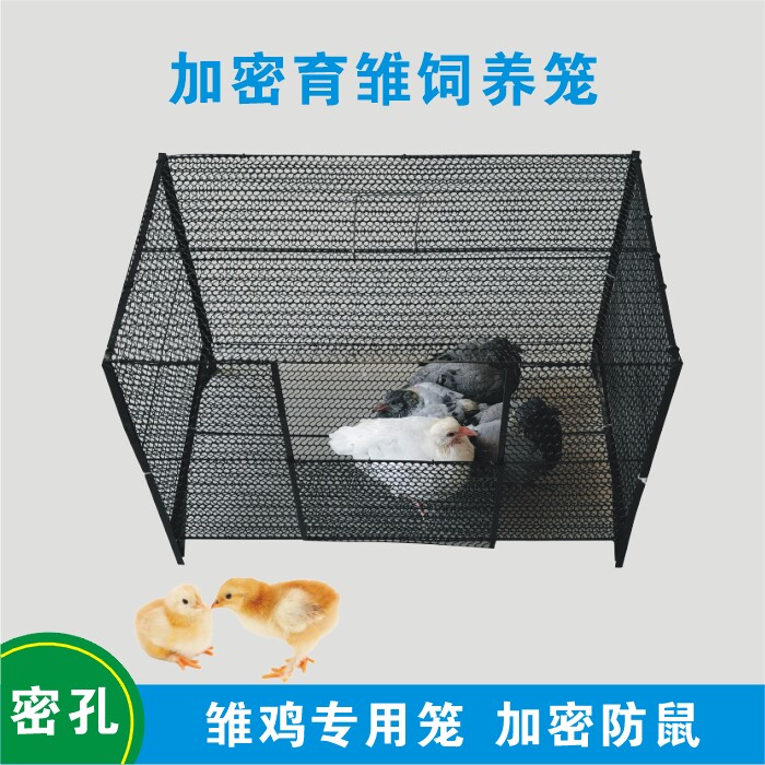 Chicken Coop Small Chicken Cage Breeding Cage Home Chick Cage Crypto Yogling Cage Anti Rat Quail Cage Sparrow Bird Dove Cage-Taobao
