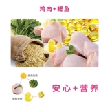 H Bi Biji Club Puppies Puppies, Vips, Huskin Moschi Teddy Puppies Nutrition Food 1,6 кг