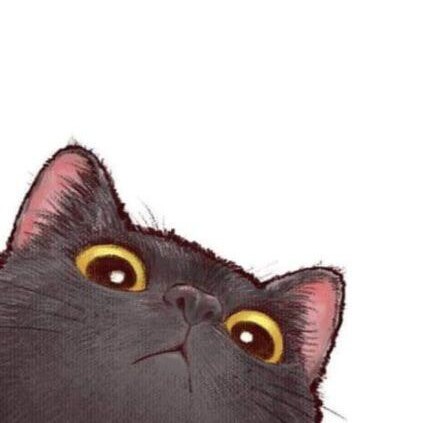 灰猫的商店的LOGO