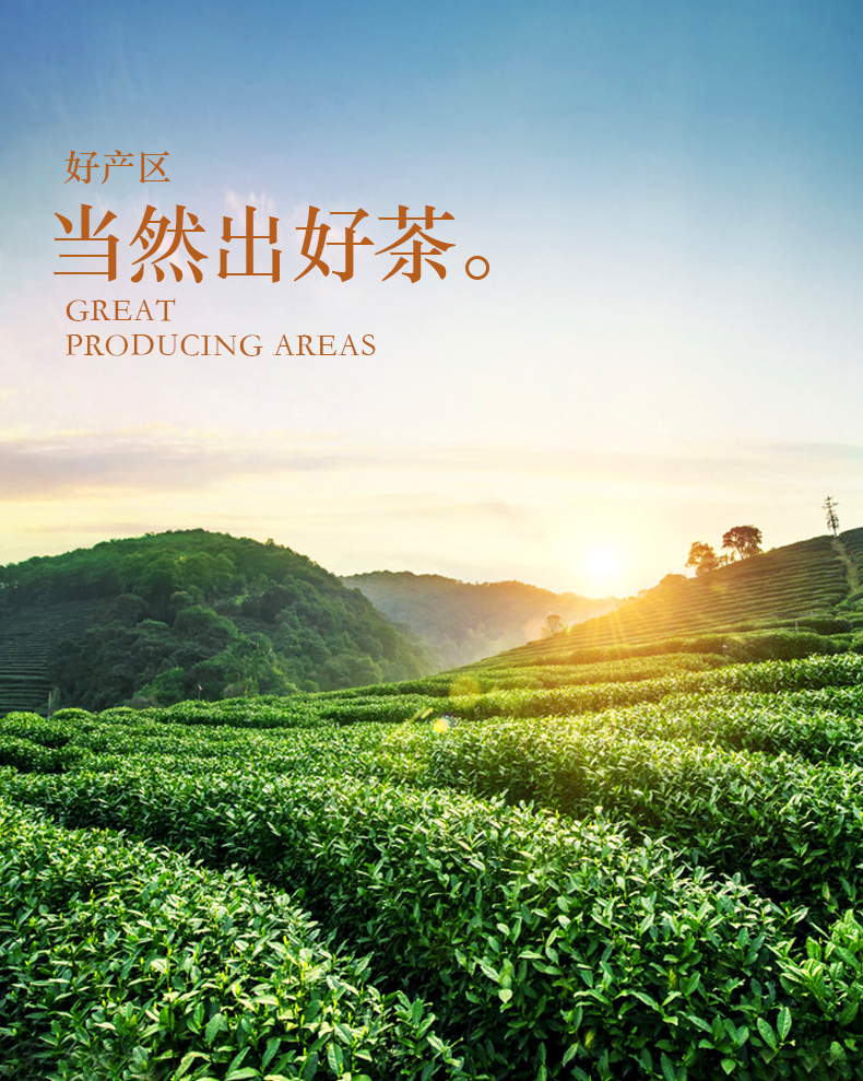 钓鱼台国宾馆供应商 凤山 桂花乌龙 3g*10包*2盒 图5