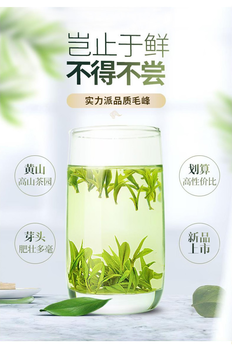 钓鱼台国国宾馆供应商 凤山 20年新茶 黄山毛峰绿茶 50g 图5