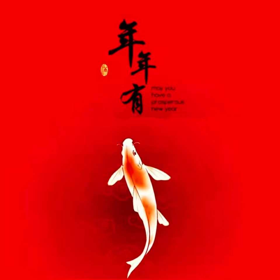 深圳大乘数码