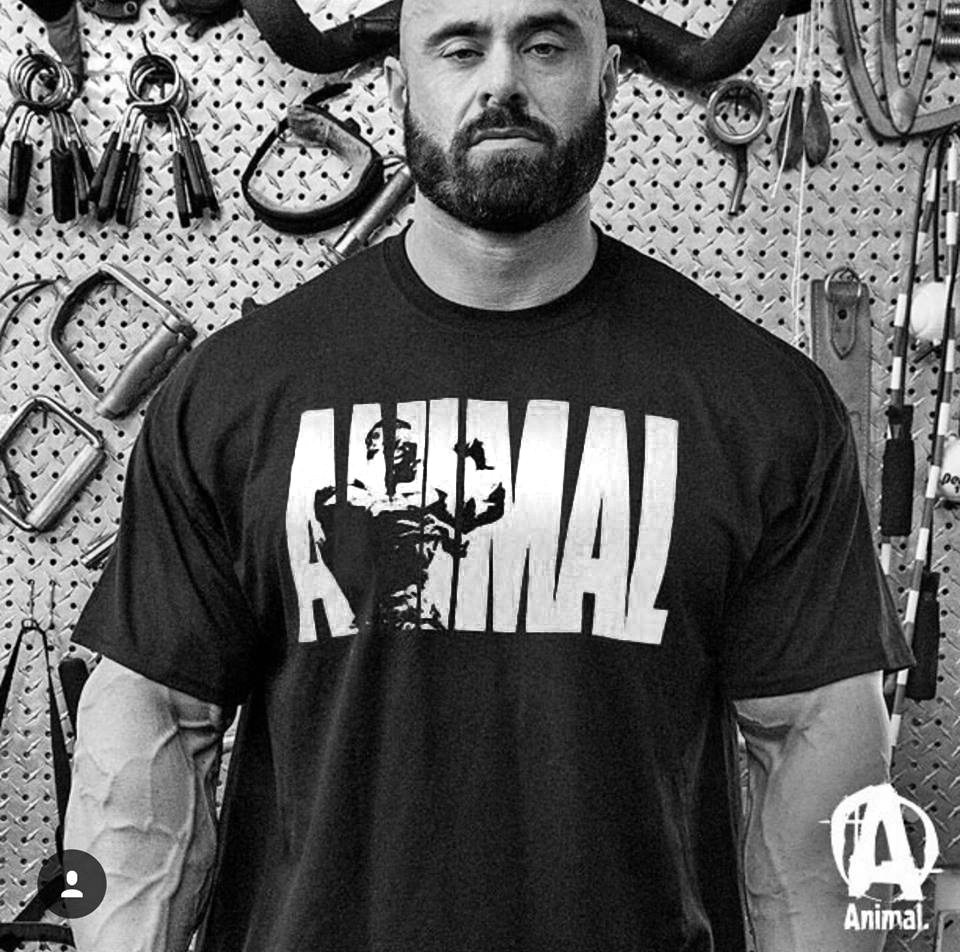 Cross-border ANIMAL Men's Sports Fitness T-Shirt Cotton Stretch Sports Short Sleeve