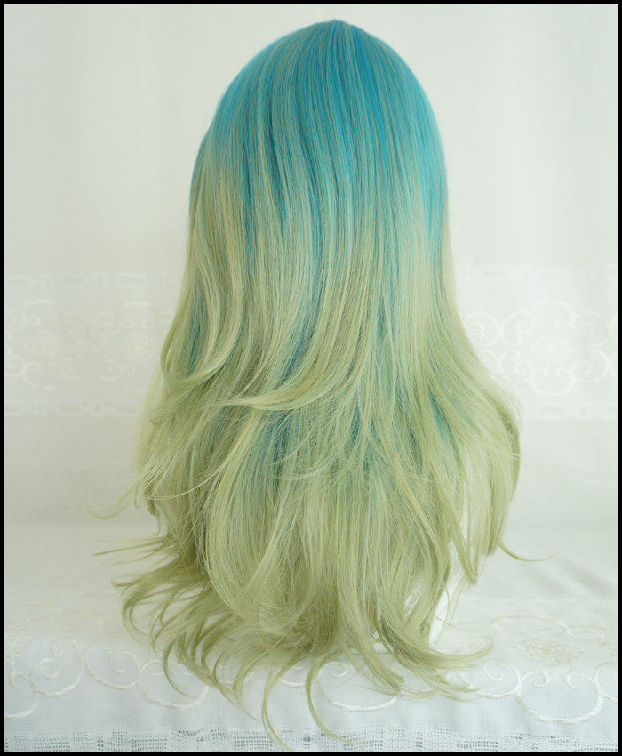 Perruque OTHER   Les cheveux longs - Ref 2609936 Image 14