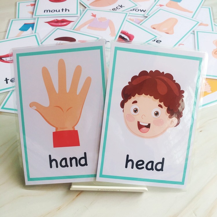 English cards waterproof flash cards body body parts cards 30 Kindergarten children's word cards Cognitive enlightenment maps