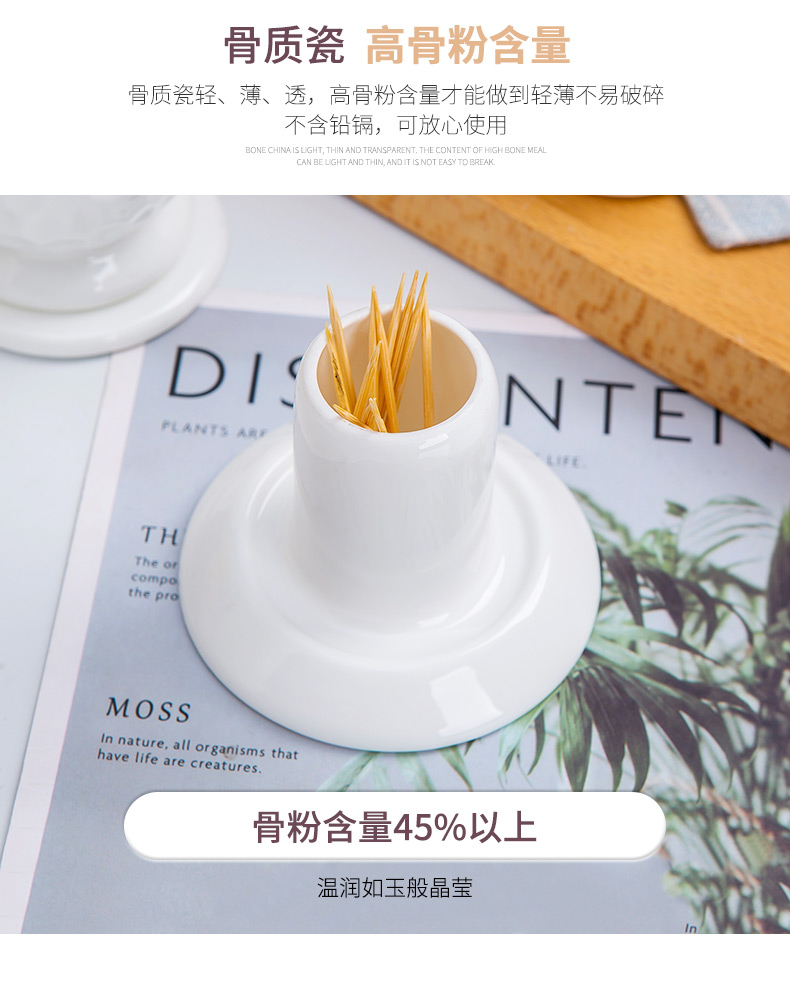 Home restaurant ipads porcelain tooth extinguishers pure creative fashion ceramic toothpicks/toothpick box, toothpick bottle toothpick