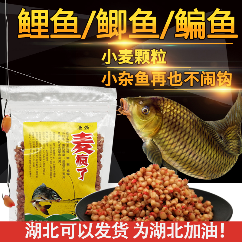 Wheat bait carp bait wild fishing carp bait fishing crucian carp grass bream wild fishing particle fish bait