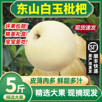 Spot Big Fruit Suzhou Dongshan Baiyu loquat 5 catties now remove the fresh pregnant woman Fruit white loquat gift box