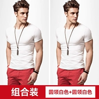 Круглая шея белая + круглая шея белая (базовая модель T067)