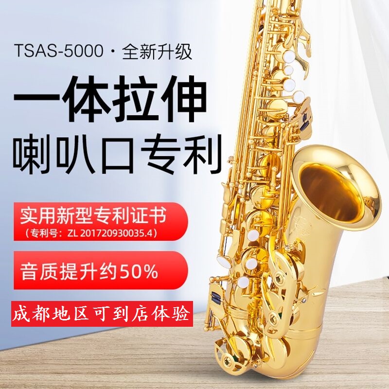Taishan Drop E Tune In Tune Saxophone Wind Pipe TSAS-5000 Saxophone Adult Playing Beginner Test Examination