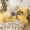 Primrose B Một gia đình cotton nhung pha lê bốn nhung san hô dày ấm bông trải giường chăn 1,5m 1,8 Mi - Bộ đồ giường bốn mảnh