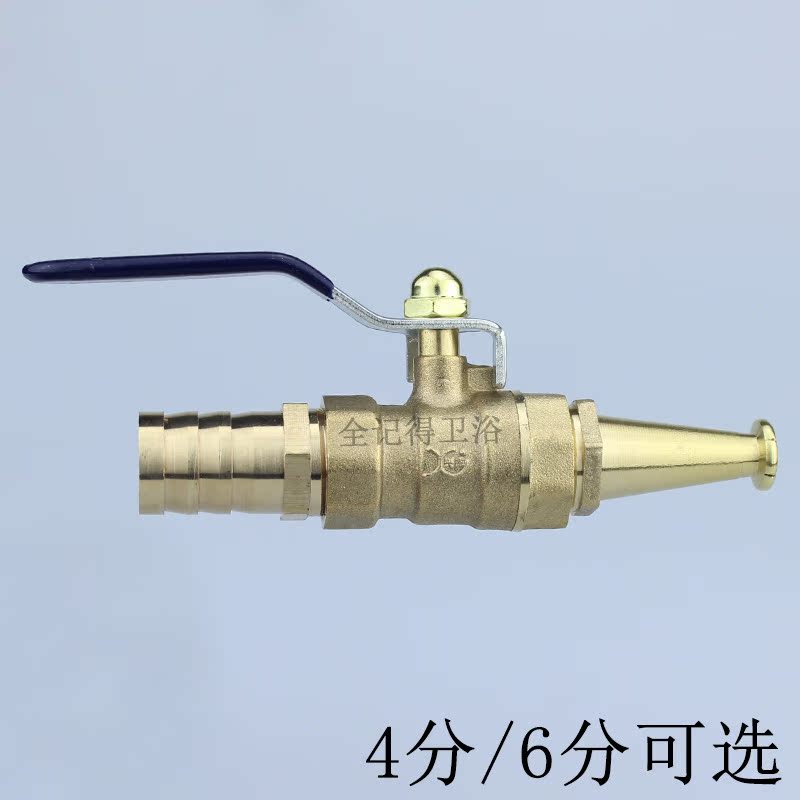 Car wash water hose fire roll disc water gun DN15 20 hose 4 points 6 sub high-pressure spray gun nozzle fitting