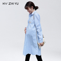 Womens imperial maternity dress spring and autumn fashion long loose foreign style shirt skirt age autumn coat