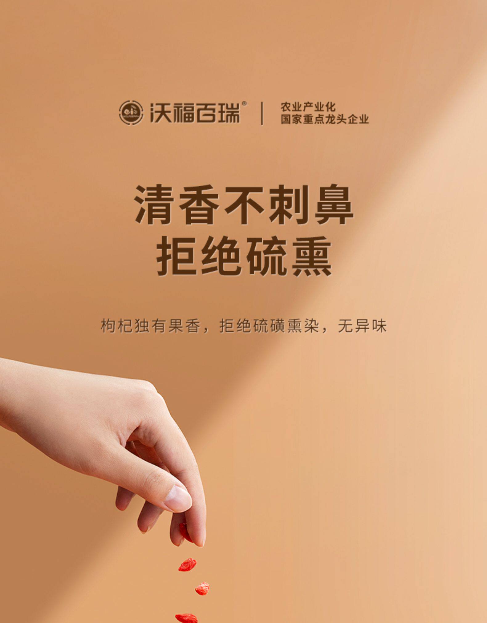 国家重点龙头企业 沃福百瑞 2022年特级头茬枸杞 250gx2罐 26.8元包邮 值值值-买手聚集的地方