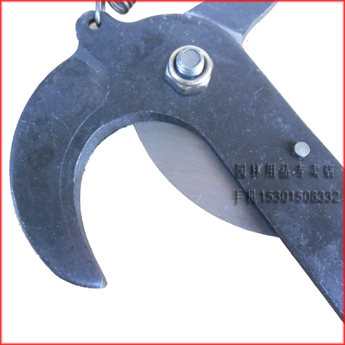 Высокие ветви, резка высоких поэта