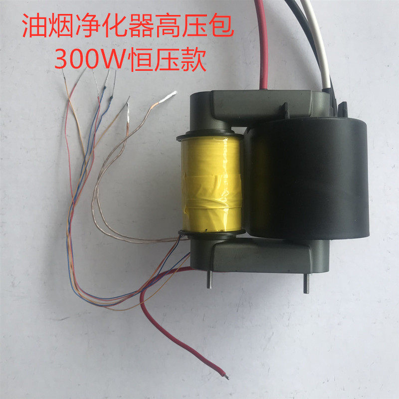 Huanyan constant voltage power supply high-voltage package purifier power supply high-voltage package barbecue car purifier high-voltage package constant pressure
