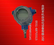 TBS - Ⅰ field conversion display (TBS-1)Explosion-proof smart meter output pulse signal and current signal