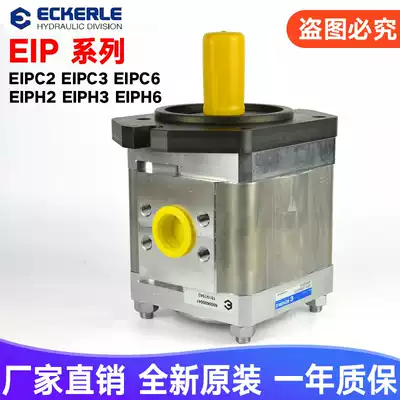 Original ECKERLE EIPC3-040 64RB23-10S196 Injection molding bending servo gear pump