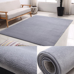 Carpet bedroom bed blanket living room blanket floor mat rug