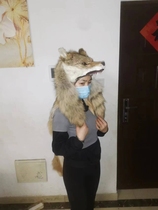 Simulated wolf head hat winter cold-proof and warm animal plush hat ear protection artifact orc hood shawl