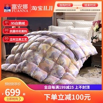 Fuana antibacterial duvet 95 white goose down winter quilt thick winter warm Four Seasons quilt double spring and autumn quilt core