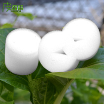 Soilless cultivation planting sponge High density round seedling planting cotton growing sponge block