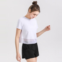 Slim Fit Fitness Short Sleeve Loose Breathable Running T-shirt Mesh Yarn Sports Casual Short Sleeve Yoga Uniform Round Collar Pure Color Woman