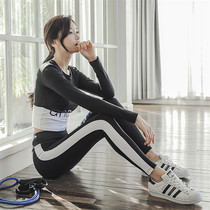 Long sleeve fitness set yoga two-piece slim running two-piece quick-drying sweat-sucking fitness pants round neck long sleeve