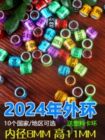 Голубь ноги 2024 иностранная толпа голубь голубь кольцо голубые голубые голубые голубые голубы