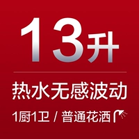 13 литров
