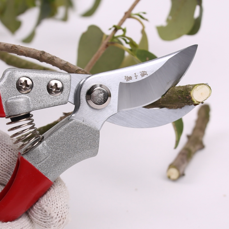 Zhang Xiaoquan pruning scissors fruit tree household pruning shears gardening scissors branch cutting flower cutting rough branch tool scissors