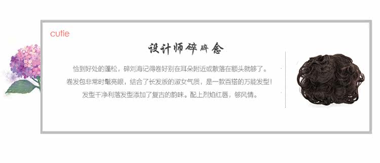 Extension cheveux - Chignon - Ref 245030 Image 29