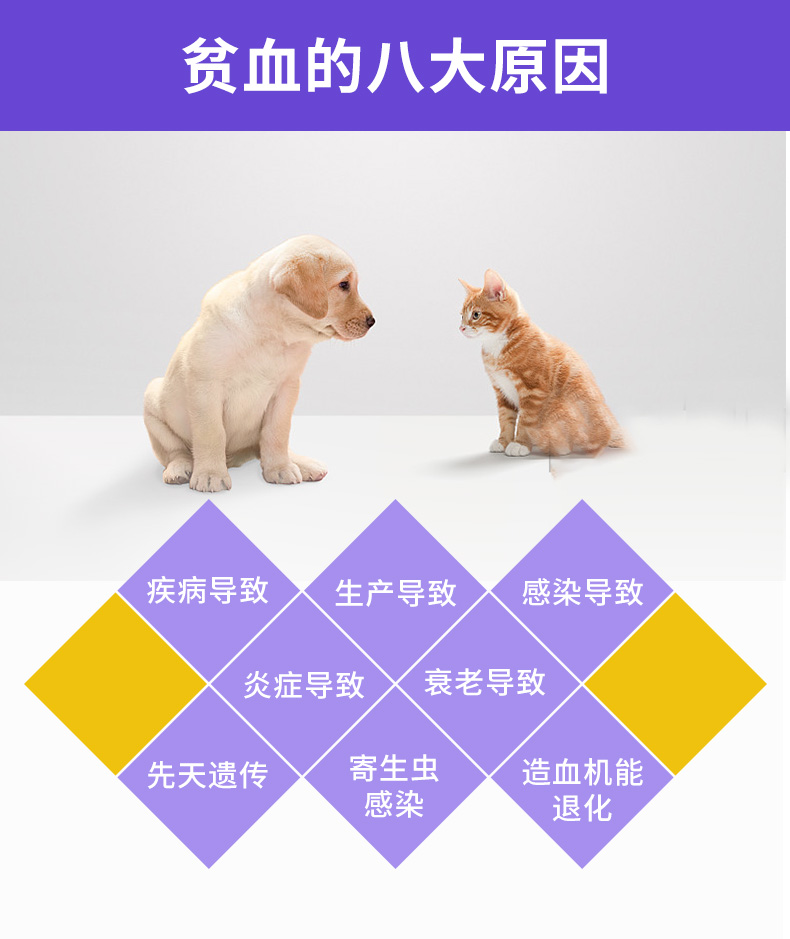 Feng X ammonia pet dog cat thiếu máu phục hồi bệnh thận bổ sung vitamin B axit amin - Cat / Dog Health bổ sung sữa cho chó con bio milk