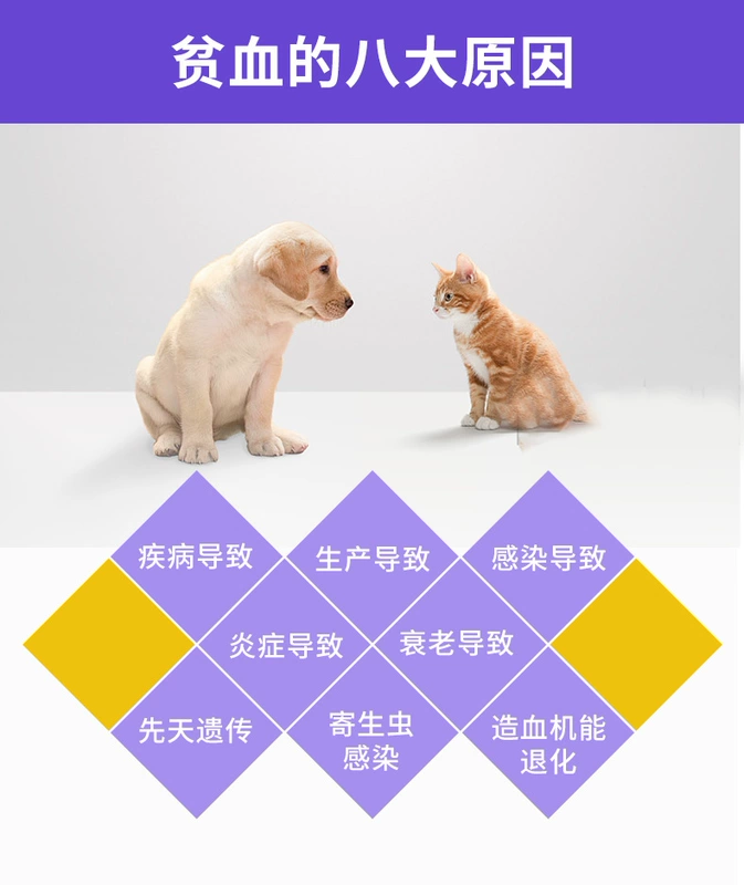 Feng X ammonia pet dog cat thiếu máu phục hồi bệnh thận bổ sung vitamin B axit amin - Cat / Dog Health bổ sung