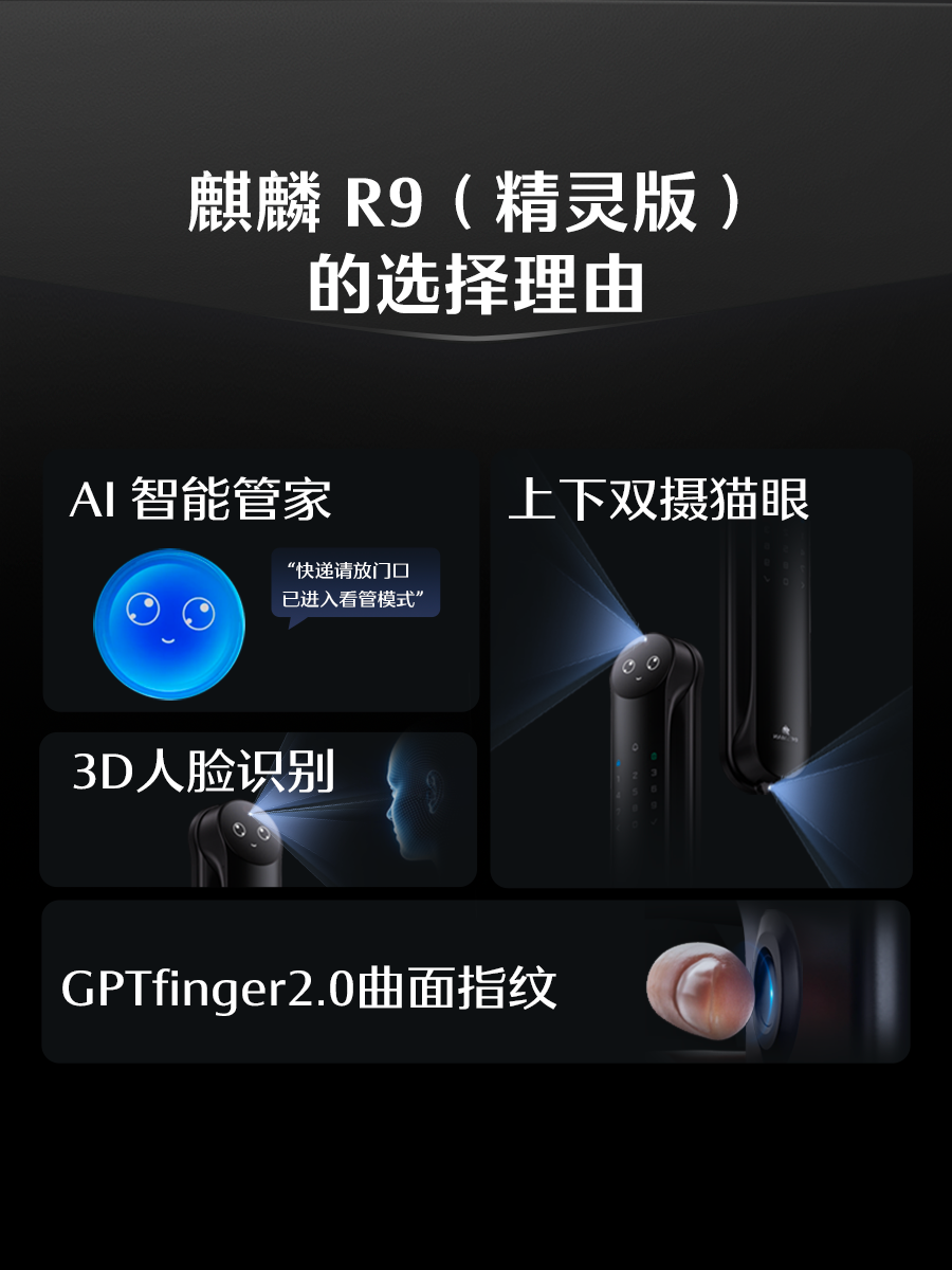 Deschmann Smart Door Lock with Facial Recognition, Peephole, Smart Screen, Home Door Lock, Password Lock, Kirin R9 Elf Edition