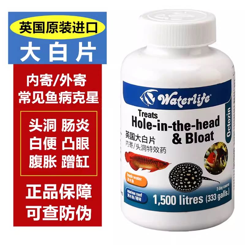 英国大白片,治疗鱼病的利器?🐟揭秘其功效与使用-鱼缸水质稳定剂-淘宝好物网