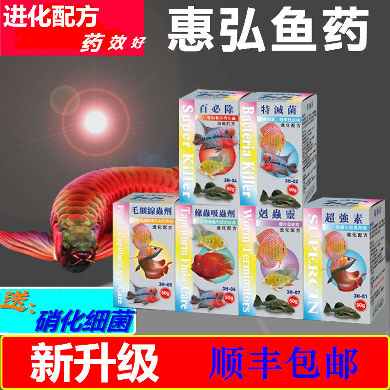 Huihong Baibi Special Sterilization Kechongling H1H2H4H5 Sends Colorful Luohan Fish Head Cave White Dot Fish Medicine