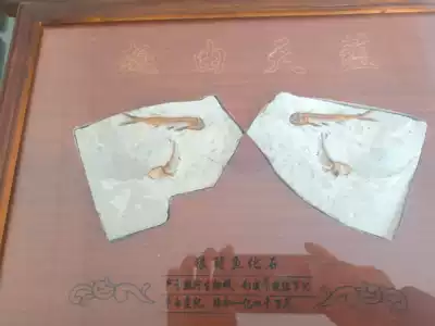 Liaoning Province, Liaoning Province, ancient biological fish fossils, Wolf fin fish, Chaoyang Beipiao, genuine Rehe biota
