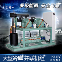 Brand new factory direct sales parallel unit for cold storage medium and high temperature 0 degrees vegetable fresh storage 500 cubic meters fresh storage