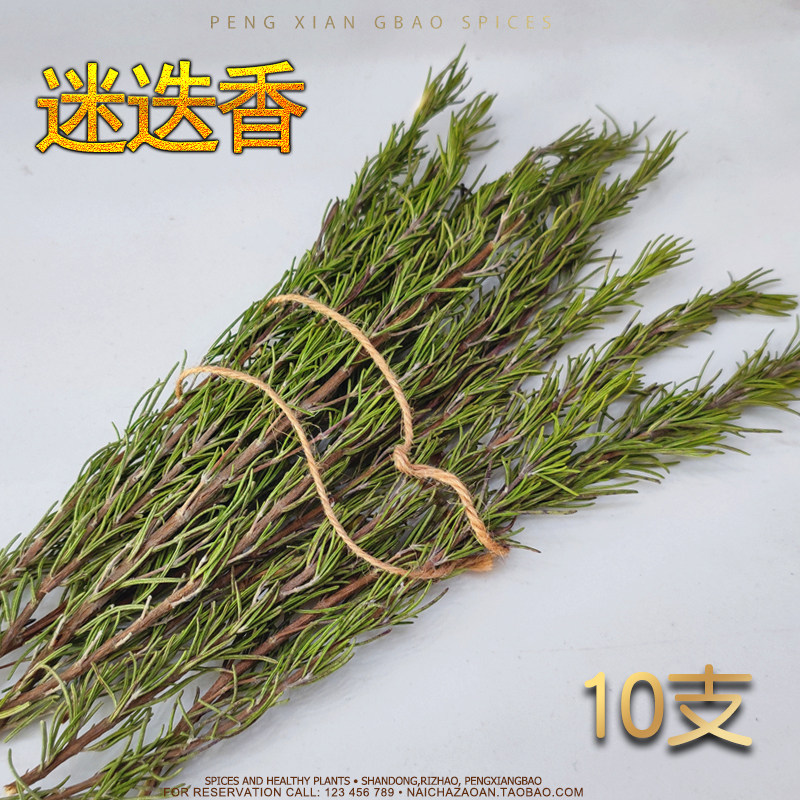 10 dry rosemary branches, small leaves, mulled wine, spice package, Christmas steak, decoration, seasoning, pruning