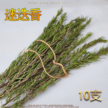 Rosemary Dry Branches 10 Dried Grass Small Leaf Hot Red Wine Spice Bag Christmas Steak Hem Tray Decoration Seasoning Whole Branches