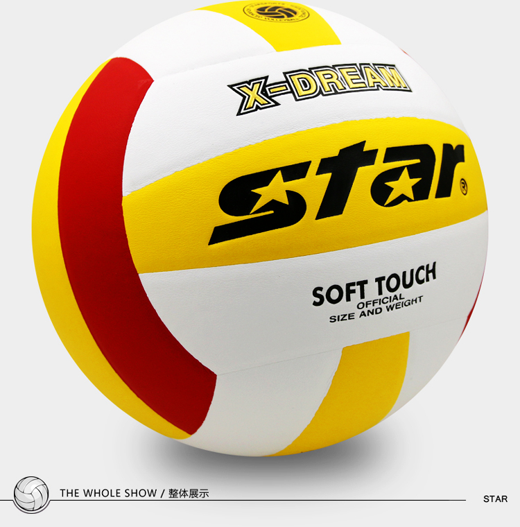 Ballon de volley - Ref 2015193 Image 3