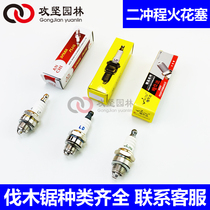 High-quality LD chainsaw spark plug igniter nozzle gasoline saw ignition switch chainsaw universal spark plug