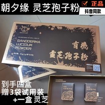 Zhaoxiyuan Ganoderma lucidum spore powder gift box planting Ganoderma lucidum spore powder independent small package Douyin same style