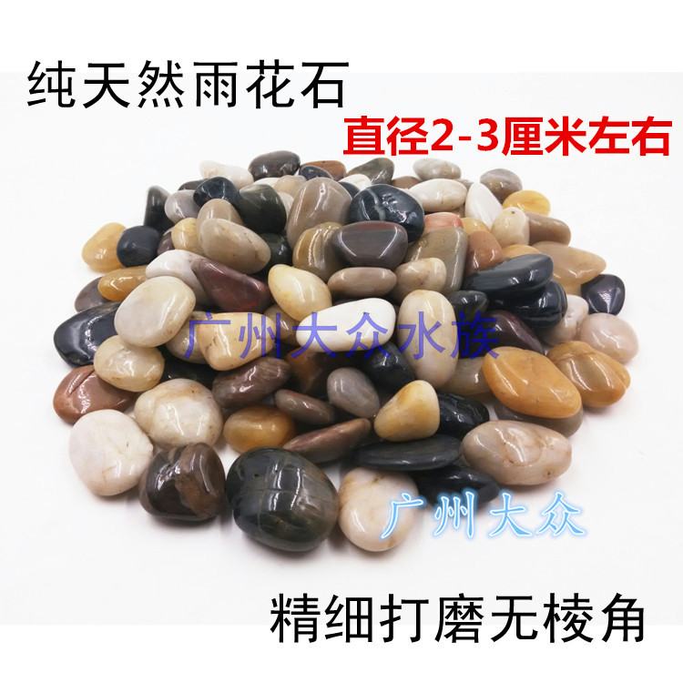 Fish tank water family building decoration stone white turtle bottom sandstone fish tank bottom with view rain flower stone 4 9 yuan 1 catty