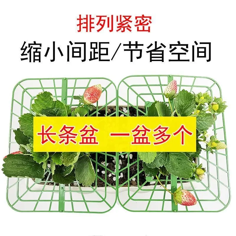 Strawberry Support Net New Model Strawberry Stand Bracket for Ground Planting, Specialized Rack for Gardening, Breathable and Anti-Rot for Growing Strawberries