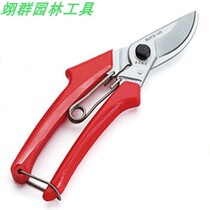 Zokugawa ji Taiwan Imports Branches Cut Fruit Tree Scissors Coarse Branches Cut Flowers Cut garden landscaping garden pruning special