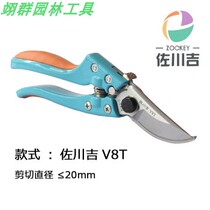 Zokugawa ji Taiwan Imports V8T Horticultural pruner Cut garden Scissors Tools Fruit Tree Cut Coarse Branches Cut from the open